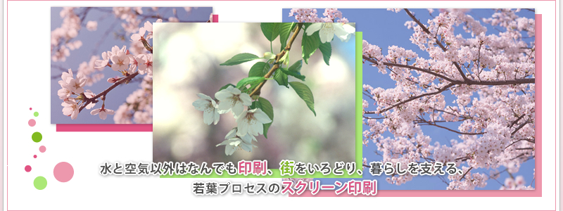 有限会社若葉プロセスは埼玉県松伏町でスクリーン印刷の業務を営業しております。水と空気以外は何でも印刷が可能です。街を彩り、潤いを与えるスクリーン印刷をご利用ください。